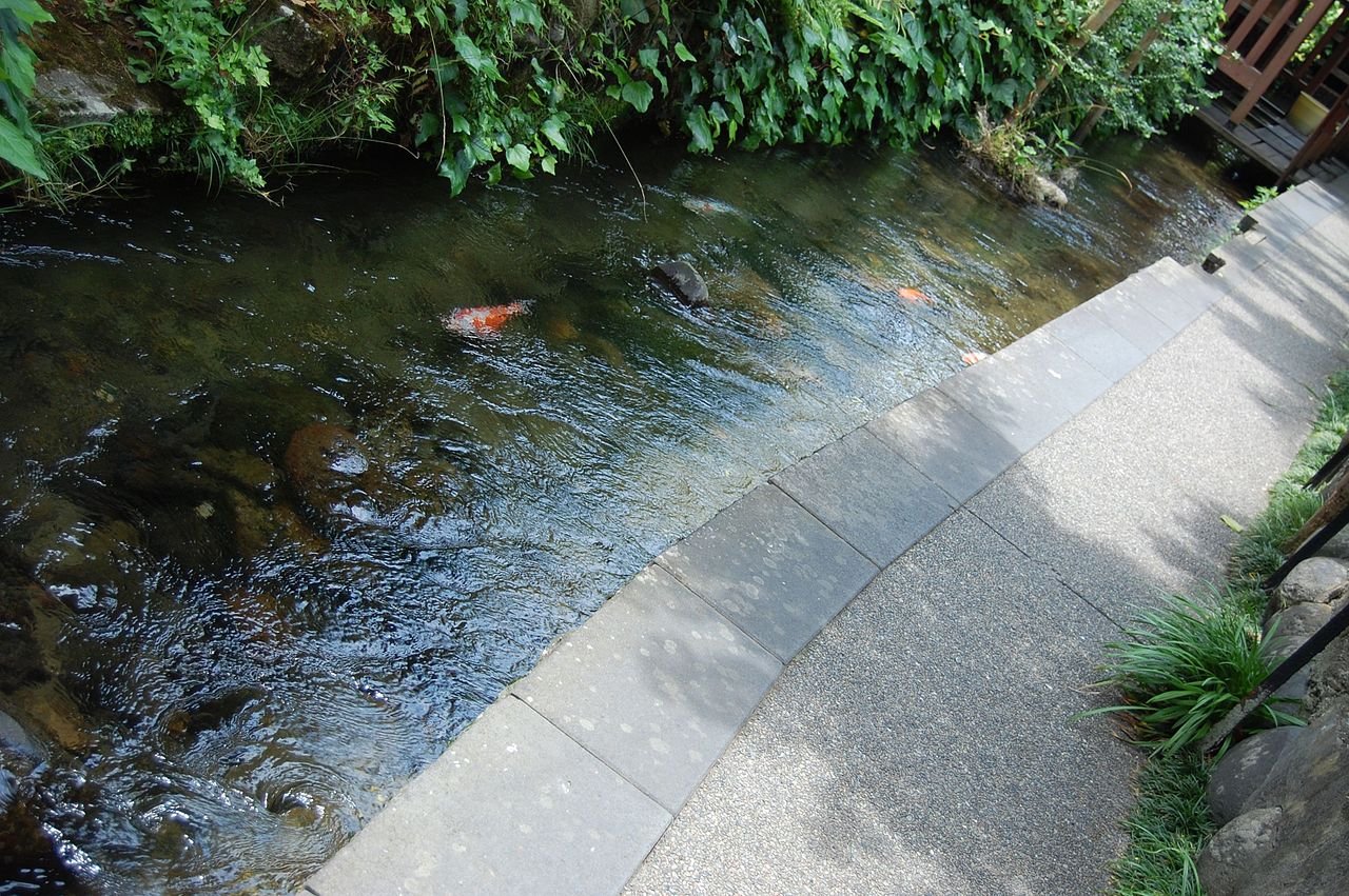 🏞️ 이가와 작은길(이가와 코미치)